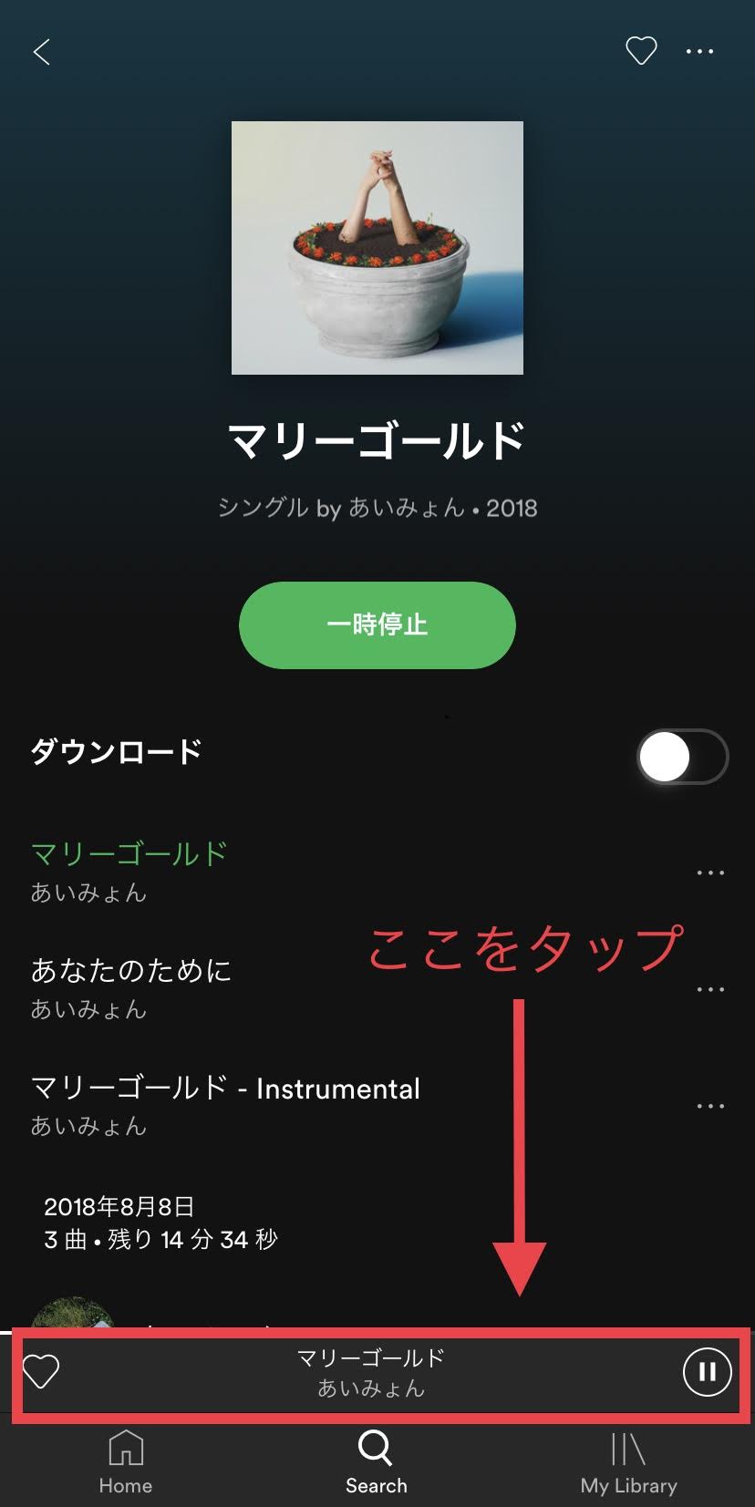 音楽 インスタ ストーリー